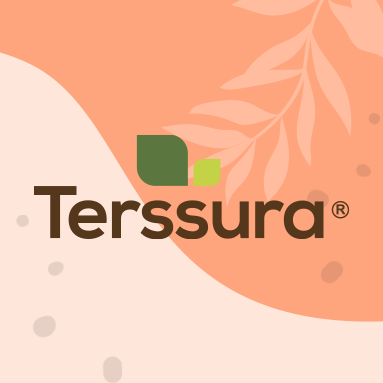 Terssura