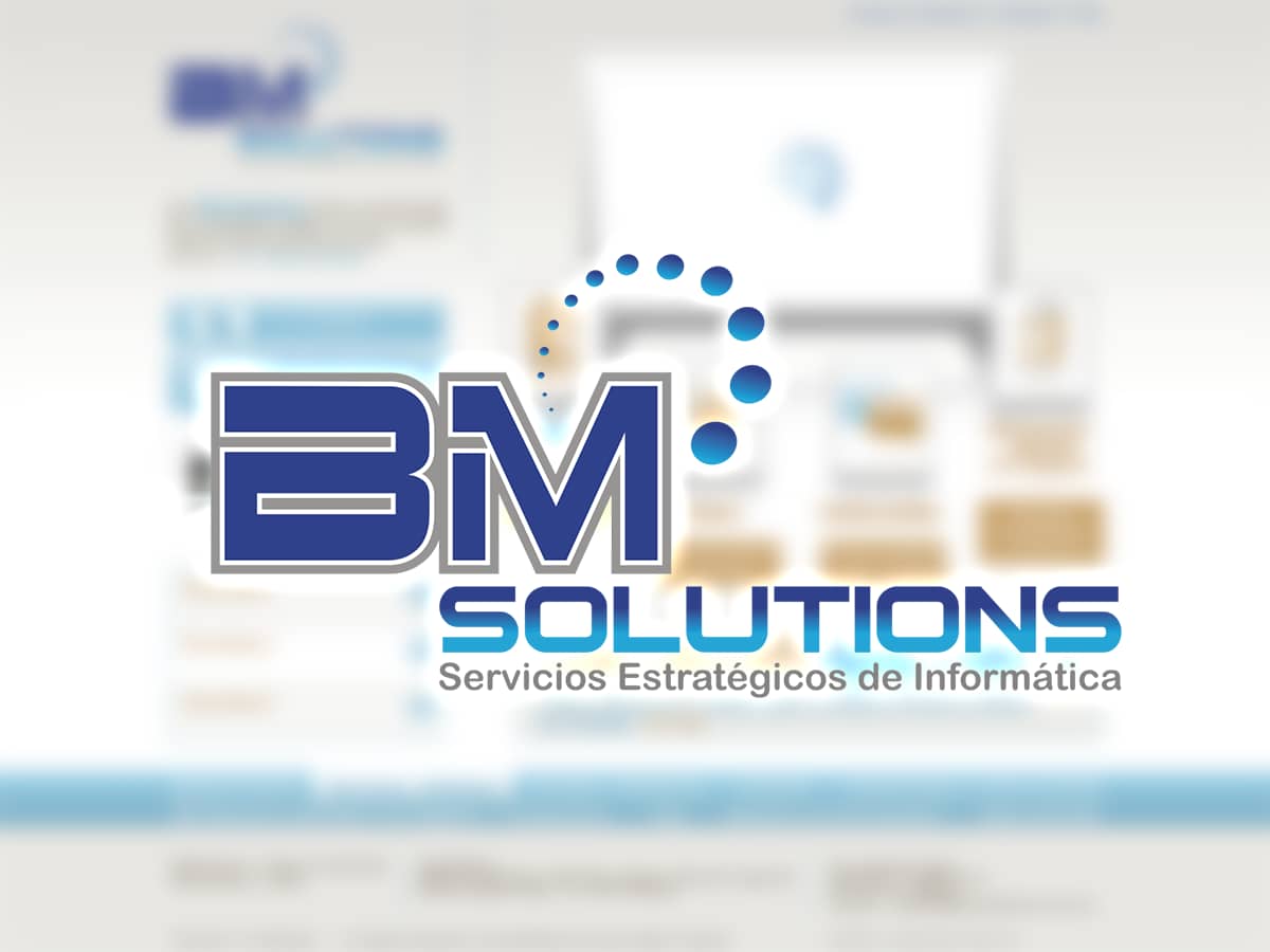 BM SOLUTIONS (2008)
